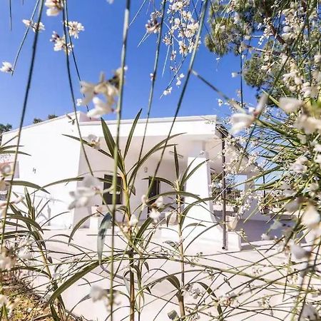 Casina Anna Maria Villa Франкавила Фонтана Екстериор снимка